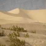 Death Valley - Mequite Flat Sand Dunes